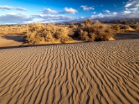 Dunes de Maspalomas